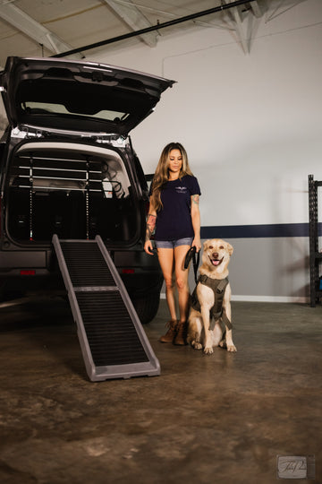 The right pet products can make all the difference in providing a secure and stress-free travel experience for both you and your furry companion.