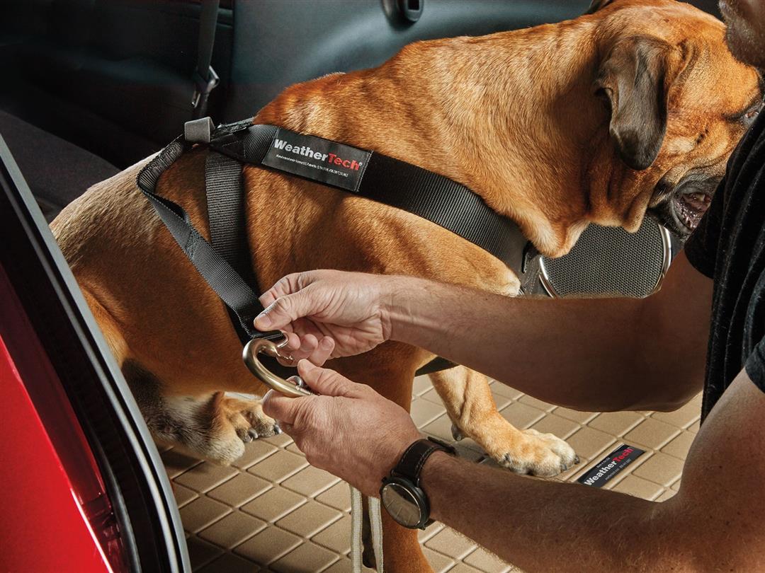 WetherTech Pet Harness