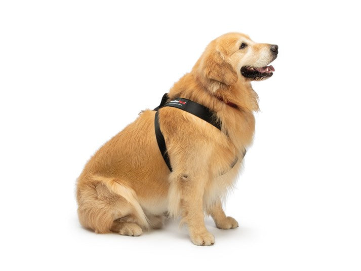 WetherTech Pet Harness