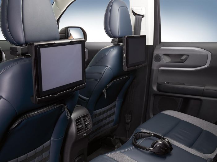 Rear Seat Entertainment, Portable by Voxx